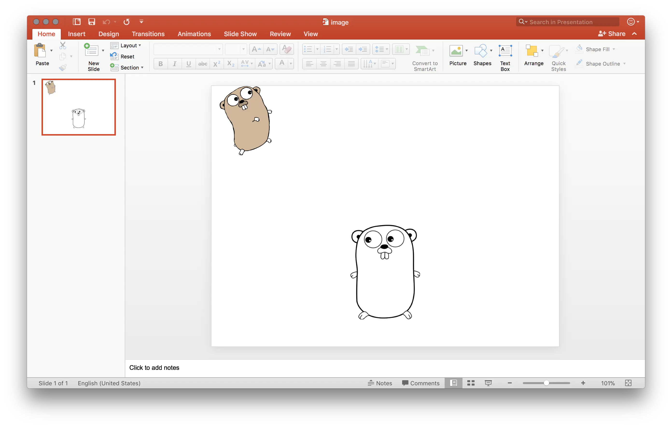 sample image presentation