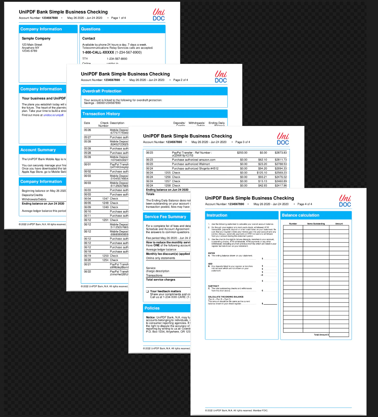 Bank Account Statement